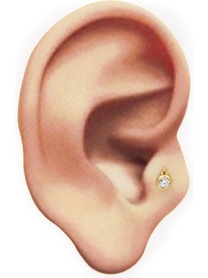 Safderun Takı Tragus Helix Piercing