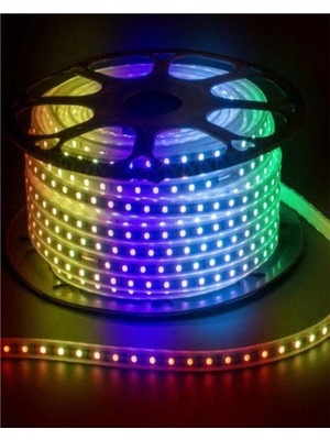 ŞANLED Rgb Hortum Esnek Şerit LED  + 220V FIŞ/1,2,3,4,5,10,15,20,25,50,100 Metre