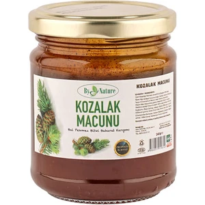 Kozalak Macunu 240 gr