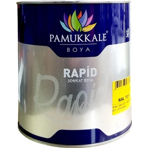 Rapid Hızlı Kuruyan Metal Yüzey Boyası 0.75 kg