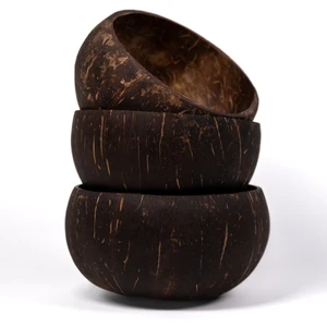 3 Adet El Yapımı Hindistan Cevizi Kasesi - Coconut Bowl