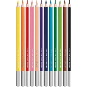 Aquarell Kuru Boya 12LI Kutu