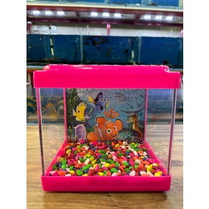 Ertargın Shop Pembe Kare Mini Akvaryum 20X20X15