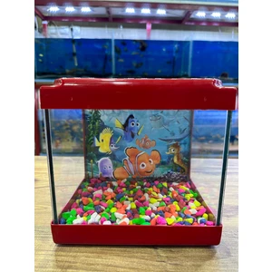 Ertargın Shop Kırmızı Renkli Mini Kare Akvaryum 20X20X15