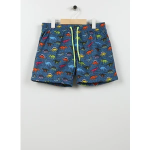 Çok Renkli Erkek Şort Mayo SO2331000004