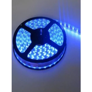 12V Iç Dış  Mekan Silikonlu  Şerit LED  Tek Çipli Mavi 5 Metre