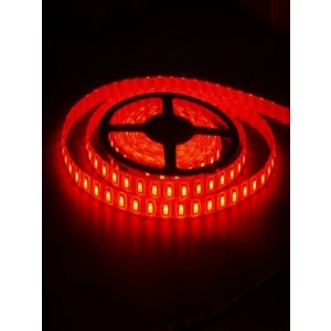 12V Iç Dış  Mekan Silikonlu  Şerit LED  Tek Çipli Kırmızı 5 Metre