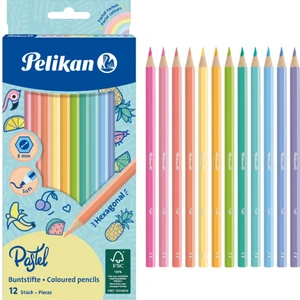 Kuru Boya Kalemi Pastel Renkler 12LI Kutu