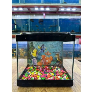 Siyah Renki Kare Mini Akvaryum 20X20X15