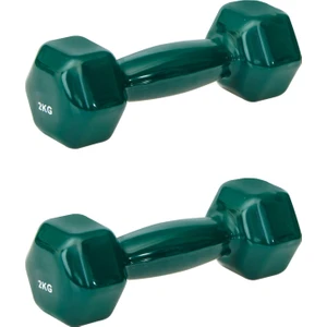 Begin Power Pvc Demir Dambıl - 2 kg x 2 Adet