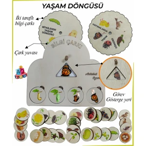 Bilgi Çarkı Fen Seti 2 Yaşam Döngüsü