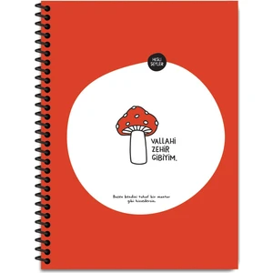 Hisli Şeyler 18.5X25 Kareli Defter - Vallahi Zehir Gibiyim