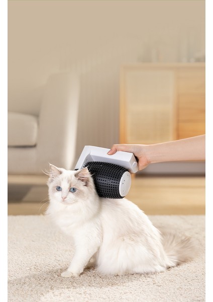 Pet Akıllı Otomatik Epilasyon Masajı (Yurt Dışından) fiyatları