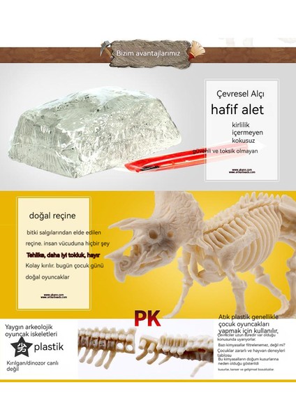 Montajlı Çocuk Popüler Bilim Eğitimi Dinozor Fosili Modeli (Yurt Dışından) fiyatları