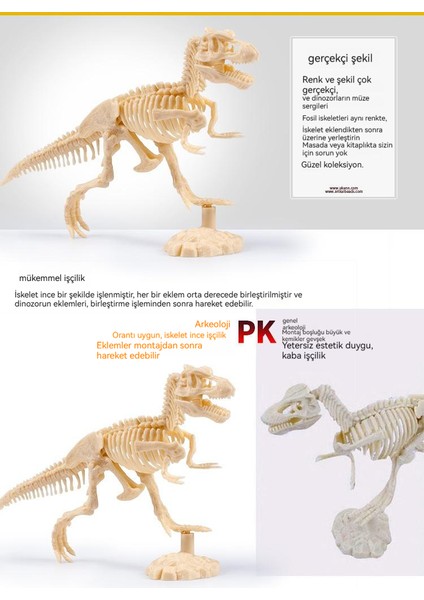 Montajlı Çocuk Popüler Bilim Eğitimi Dinozor Fosili Modeli (Yurt Dışından) modelleri