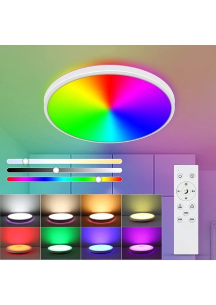 Kısılabilir LED Tavan Işığı 24W Rgb Modern Tavan Işığı Uzaktan Kumandalı Tavan Işığı (Yurt Dışından)