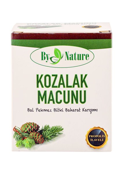 Kozalak Macunu 240 gr