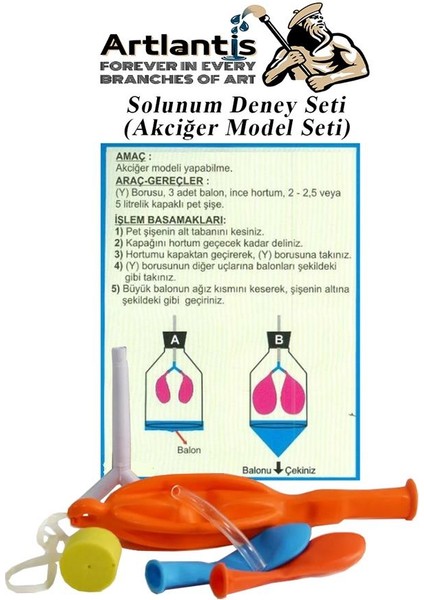 Solunum Deney Seti 7 Parça 1 Paket Model Seti Y Boru Tıpa Balon Okul Sınıf Deney Seti