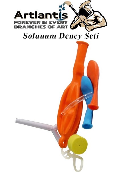 Solunum Deney Seti 7 Parça 1 Paket Model Seti Y Boru Tıpa Balon Okul Sınıf Deney Seti fiyatları