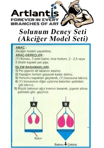 Solunum Deney Seti 7 Parça 1 Paket Model Seti Y Boru Tıpa Balon Okul Sınıf Deney Seti modelleri
