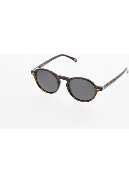 HW2107 03 Unisex Güneş Gözlüğü