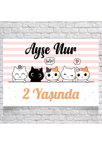 Kedi Teamlı Doğum Günü AFIŞI35 x 50 cm