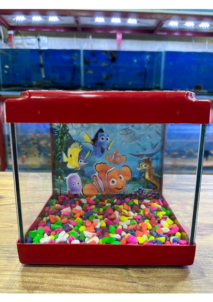 Kırmızı Renkli Mini Kare Akvaryum 20X20X15