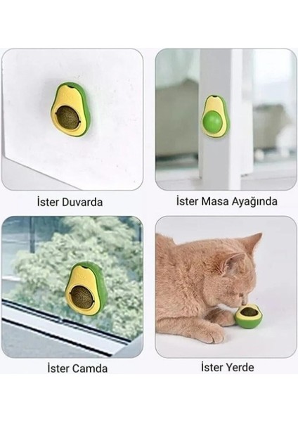 Avokado Catnip 360 Derece Dönen Kedi Nanesi Oyuncağı Kedi Çimi fırsatları