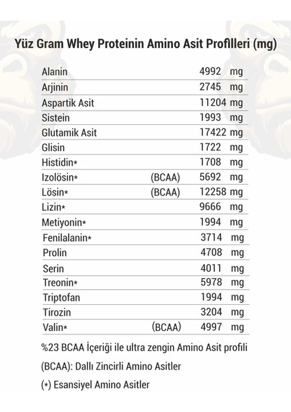 Whey Protein Çikolata Aromalı - Yüksek Protein - Gorilla Nutrition