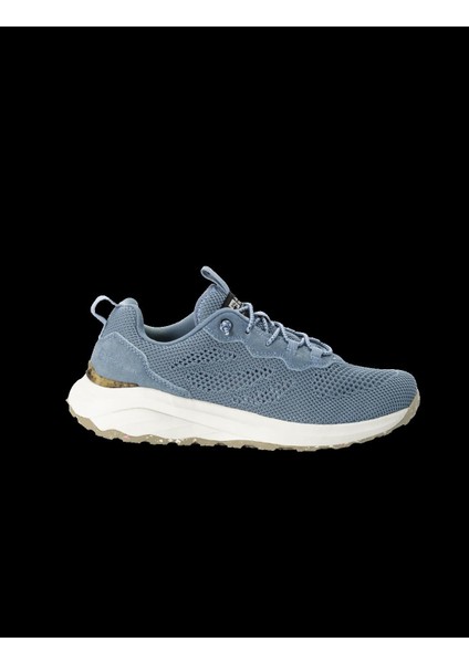 Salomon Dromoventure Low W