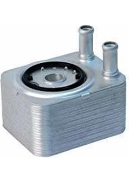 Volkswagen Touareg 2006 - 2010 Model 3.6 Motor Yağ Soğutucusu 038117021B