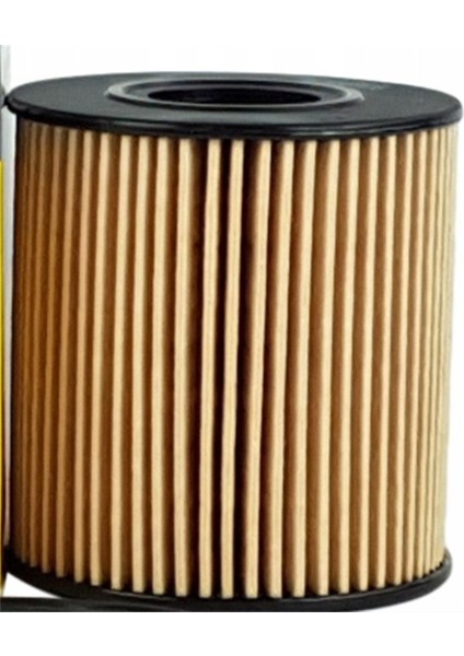 Citroen C3 1.4 1.6 Benzinli Yağ Filtresi 1109.AN