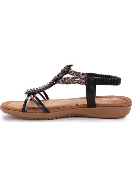 Günlük Taşlı Kadın Sandalet 23Y150-4 Siyah