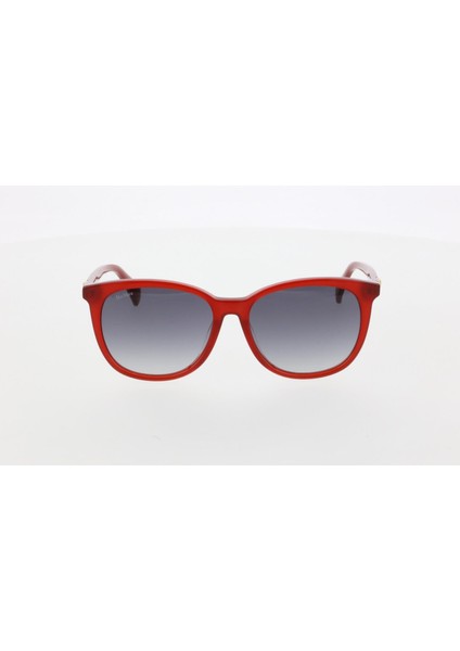Maxmara MM 0022 66B Güneş Bayan Gözlüğü