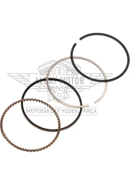 Spacy 110 Segman Std