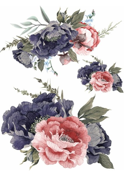 Sulu Transfer LNT-95 25x35 cm