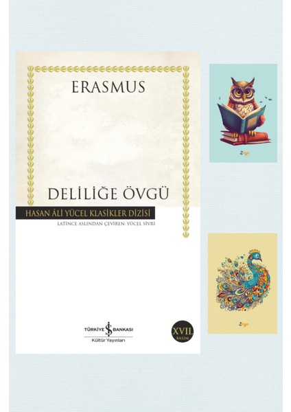 Deliliğe Övgü: Hasan Ali Yücel Klasikler Dizisi - Erasmus