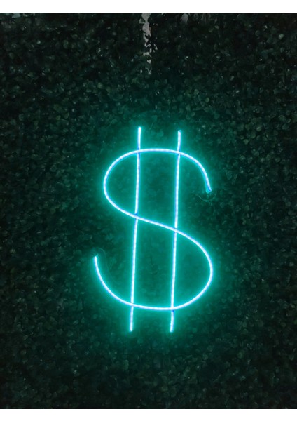 Dolarlogo Neon LED Tabela Duvar Dekoru