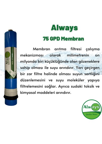 Inline Quick 5'li Filtre Takımı