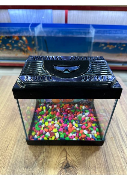 Siyah Renki Kare Mini Akvaryum 20X20X15