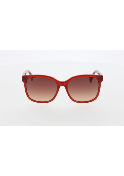 MM0025 66F Kadın Güneş Gözlüğü