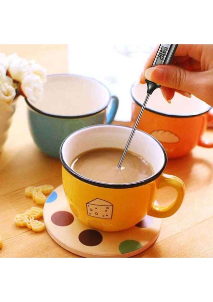 Dijital Termometre Dt-03 modelleri