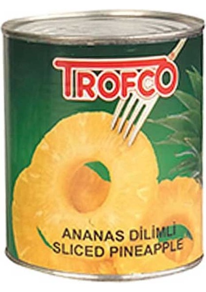 Ananas Dilimli 8 Dilim 850 gr