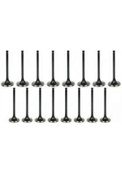 Scırocco 1.4tsı Subap Takım Emme Egsoz Güneş Marka