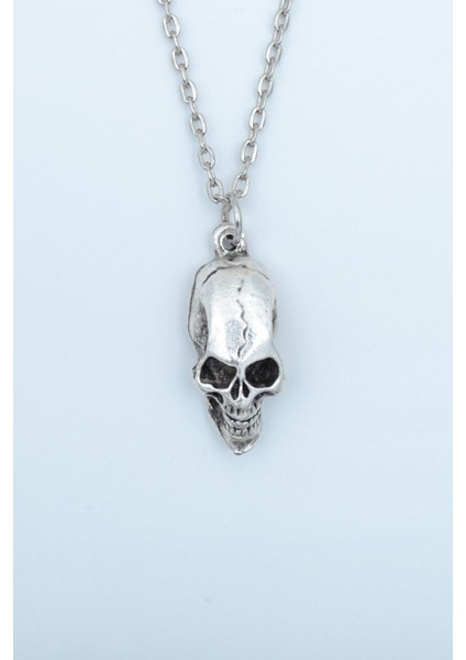 Kuru Kafa Erkek Kadın Kolye Antik Gümüş Kaplama - 60 cm Düz Zincir fiyatları