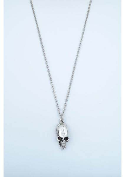 Kuru Kafa Erkek Kadın Kolye Antik Gümüş Kaplama - 60 cm Düz Zincir modelleri