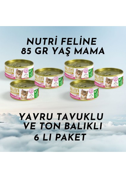 Yavru Kedi Yaş Mama 85 gr Tavuk Etli Ton Balıklı 6 Lı Paket