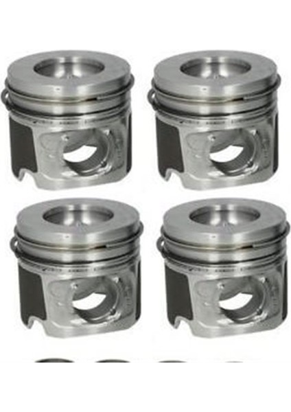 Tiguan 1.4 Tsı (Cax) 122 Ps Motor Piston Takımı Iss Marka