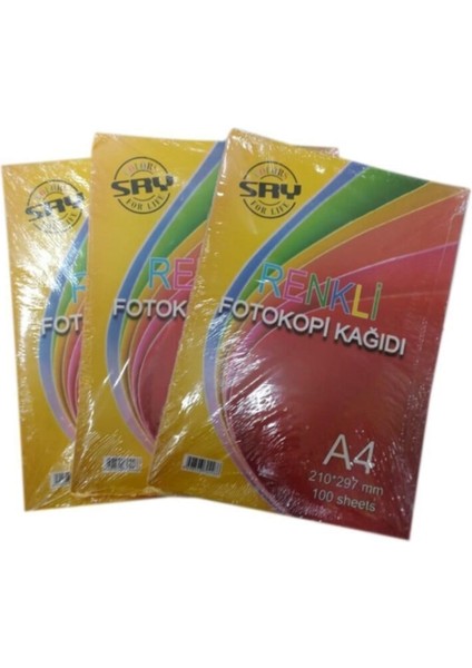 A4 Renkli Fotokopi Kağıdı 5 Renk 80 gr 3 Paket 300 Adet