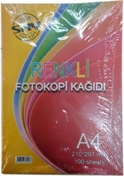 A4 Renkli Fotokopi Kağıdı 5 Renk 80 gr 3 Paket 300 Adet